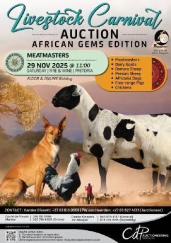 MEATMASTER LOTS START FROM 106 ON 29 NOVEMBER @11H00