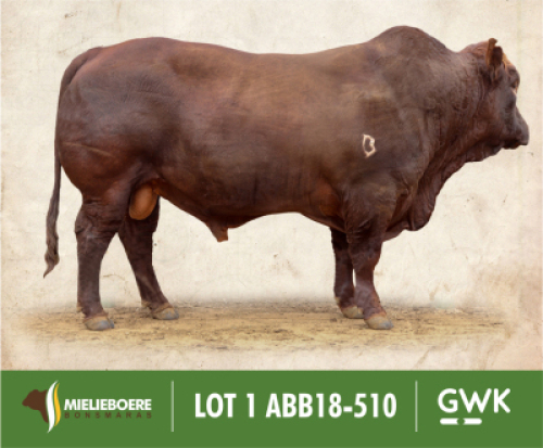 LOT 1:&nbsp;ABB 180510&nbsp;SP