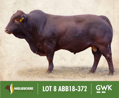 LOT 8: ABB 180372 SP