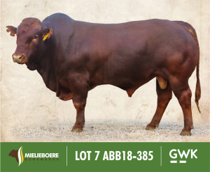 LOT 7: ABB 180385 SP