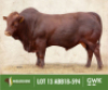LOT 13: ABB 180594 SP