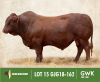 LOT 15: GJG 180162 SP