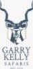 1 X HOWA 6.5 Creedmore rifle, with scope and silencer Garry Kelly Safaris - 2