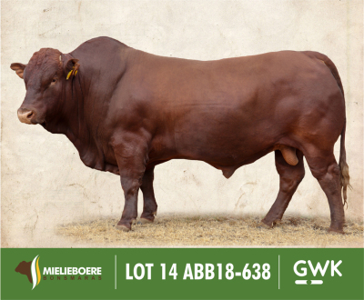 LOT 14: ABB 180638 SP