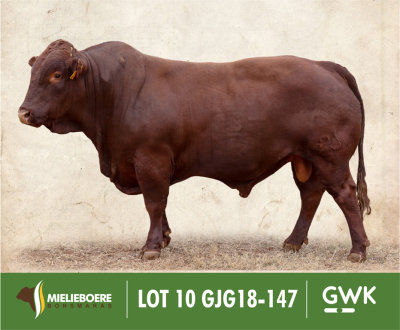 LOT 10: GJG 180147 SP