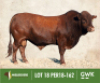 LOT 18: PER 180162 SP