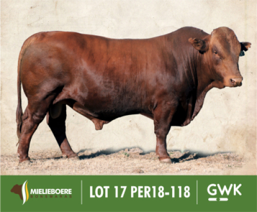 LOT 17: PER 180118 SP