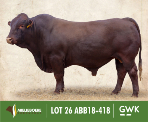 LOT 26: ABB 180418 SP