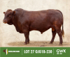 LOT 27: GJG 180230 SP