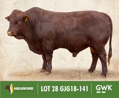 LOT 28: GJG 180141 SP