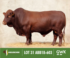 LOT 31: ABB 180603 SP