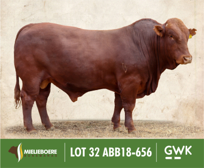 LOT 32: ABB 180656 SP