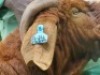1 X BOER GOAT FLOCK BUCK Shongololo Boerbok Stoet 1563 - 3
