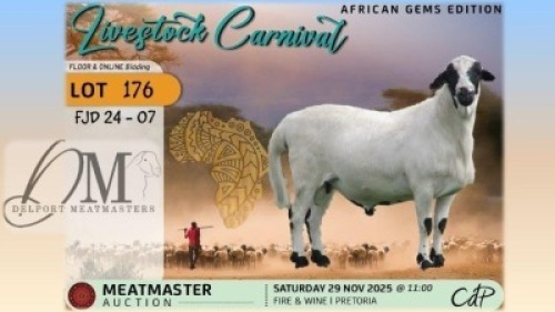 1 X MEATMASTER RAM Delport Meatmasters