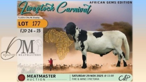 1 X MEATMASTER RAM Delport Meatmasters