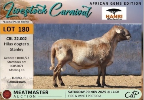 1 X MEATMASTER RAM Hanri Meatmasters