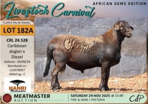 1 X MEATMASTER RAM Hanri Meatmasters