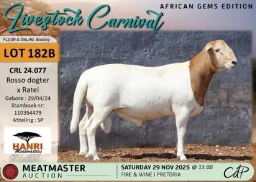 WITHDRAWN - 1 X MEATMASTER RAM Hanri Meatmasters