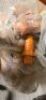 Welding Plugs (Qty: 36 Male + 50 Female) - 3