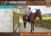 1 X HORSE ALI BOERPERD GELDING / REUN MZWANDILE NKOSI