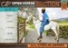 1 X HORSE MILKY WALLIESE PONIE MARE / MERRIE MM MYBURGH