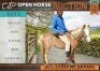 1 X HORSE SIX GUN WALLIESE PONIE MARE / MERRIE MM MYBURGH