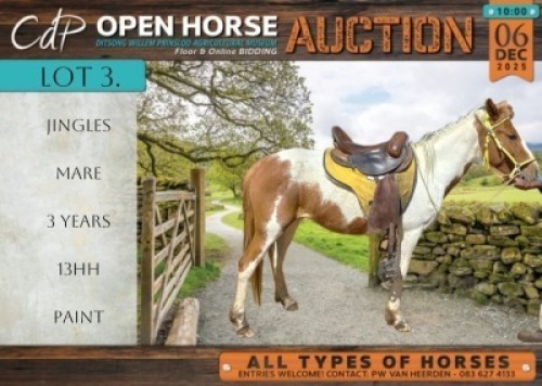 1 X HORSE JINGLES MARE / MERRIE MM MYBURGH