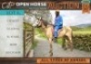 1 X HORSE DESSERT GELDING / REUN MM MYBURGH