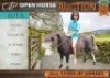 1 X HORSE OGIES PONIE STALLION / HINGS MM MYBURGH
