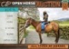 1 X HORSE SARIE APALOOSA MARE / MERRIE MM MYBURGH