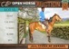 1 X HORSE BEAST GELDING / REUN MM MYBURGH