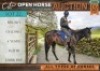 1 X HORSE BRUNO BOERPERD GELDING / REUN CDP AUCTIONEERS