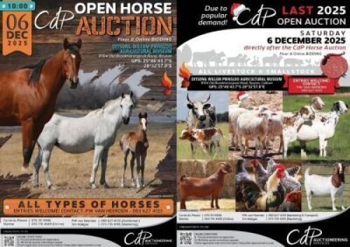 CDP LAST OF THE LAST OPEN AUCTION TO START AFTER HORSE AUCTION