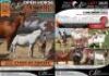 CDP LAST OF THE LAST OPEN AUCTION TO START AFTER HORSE AUCTION