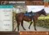 1 X HORSE NO NAME MARE / MERRIE FRANCOIS VAN LOGGENBERG
