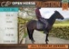 1 X HORSE SANTA MARE / MERRIE JOHN HORN