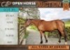 1 X HORSE EPONA NOOTIE X FRIES MARE / MERRIE VILJOEN LIVESTOCK TRADERS