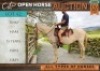 1 X HORSE TINKY MARE / MERRIE VILJOEN LIVESTOCK TRADERS