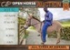 1 X DONKEY DONKEY STALLION / HINGS JOHN HORN