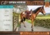 1 X HORSE LEXI BOERPERD X MARE / MERRIE LEANDRI DU TOIT