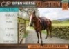 1 X HORSE MARULA BOERPERD MARE / MERRIE GIDEON PRETORIUS