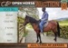 1 X HORSE KLAAS BOERPERD X GELDING / REUN JOHN HORN