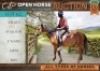 1 X HORSE VELLIES BOERPERD X STALLION / HINGS MM MYBURGH