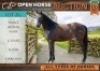 1 X HORSE FALREE ALOMA SA BOERPERD MARE / MERRIE MARNIQUES