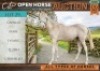 1 X HORSE CAMILLA MARE / MERRIE MARNIQUES