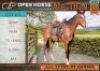 1 X HORSE ANNY NOOITGEDAGTER MARE / MERRIE DANTIE DE LEEUW