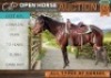 1 X HORSE CHRISTAL MARE / MERRIE DANTIE DE LEEUW