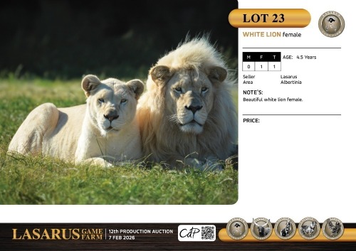 F:1 T:1 X White lion female. Lasarus Game Farm