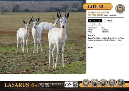 M:1 F:4 T:5 X White Kalahari springbuck family group. Lasarus Game Farm (Pay per Animal)