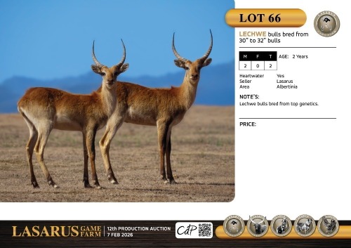 M:2 T:2 X Lechwe bulls bred from 30" to 32" bulls. Lasarus Game Farm (Pay per Animal)